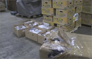 The cocaine consignment for half billion euros is confiscated in Belgium. 