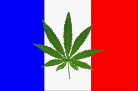 法国教育部长：我们需要让大麻合法化