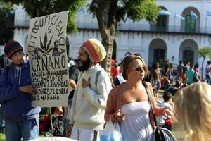 波涛一样的大麻合法化的斗争已陷入拉丁美洲