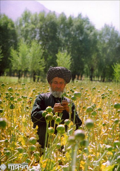 Урожай - 2005. Бадахшан