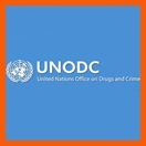 若者のイニシアティブ（UNODC）